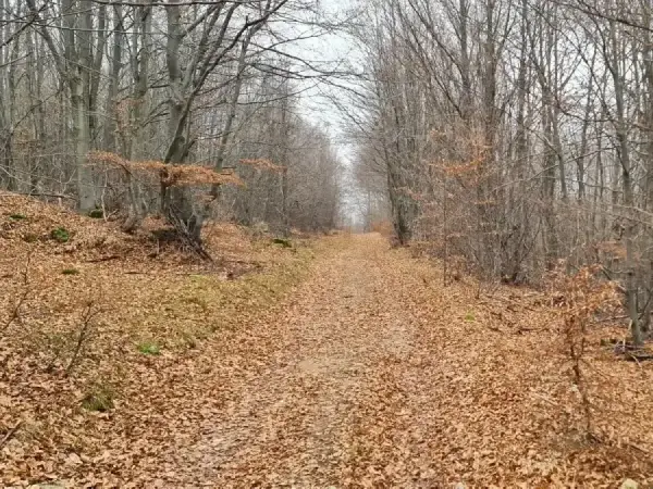 epic-tours-programs-by-season-autumn