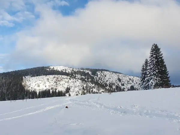 trek-winter-batashki-snezhnik