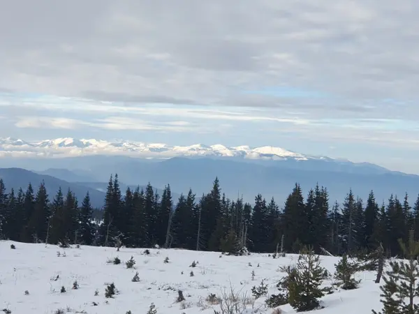 trek-winter-batashki-snezhnik