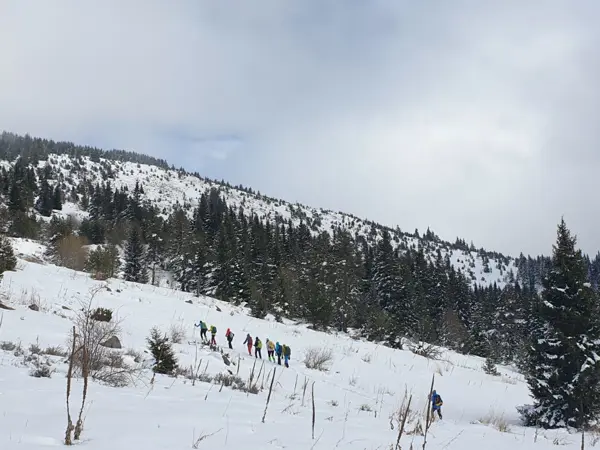 trek-winter-batashki-snezhnik