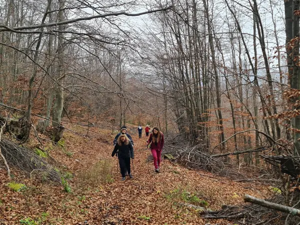 trek-izdremets-trastenaya-hut
