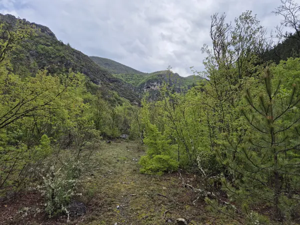 trek-rish-peak-shegava-gorge
