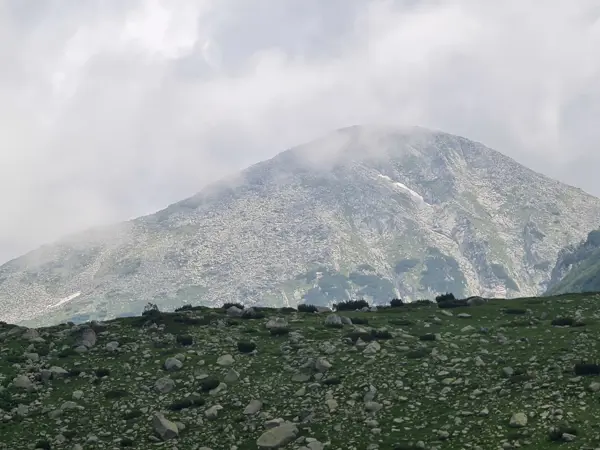 trek-spano-pole-sinanitsa
