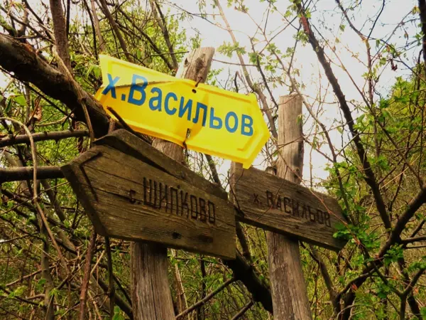 trek-vasilyov