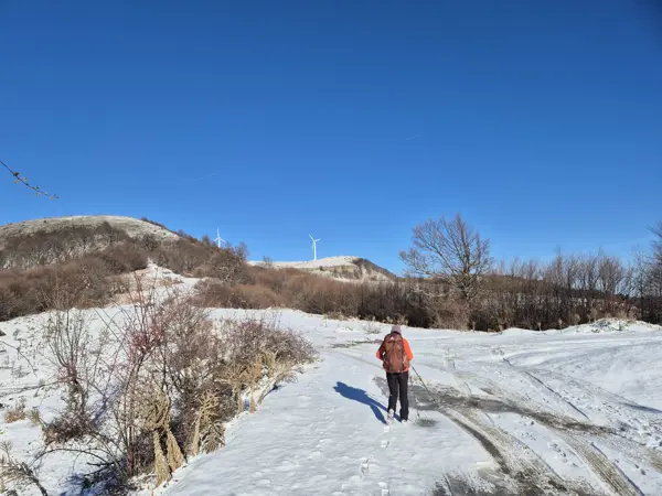 trek-vasilyov-peak-and-spa