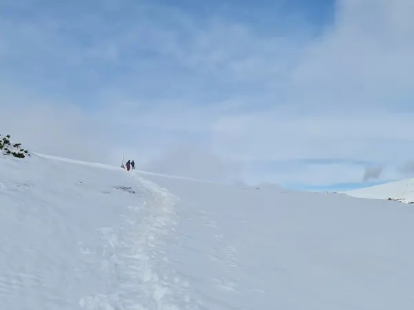 trek-winter-belmeken