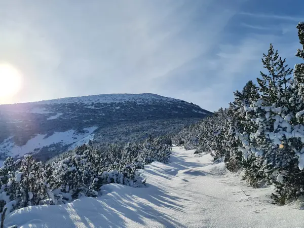 trek-winter-mechit