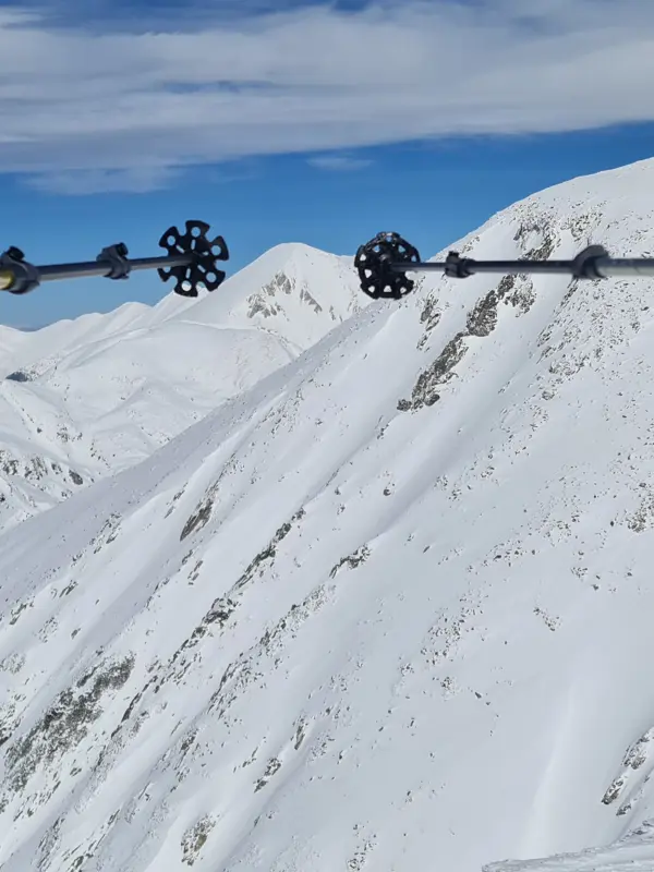 trek-winter-spano-pole