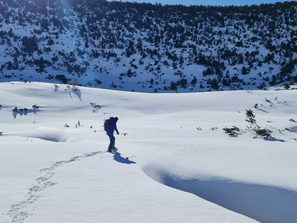 trek-winter-spano-pole
