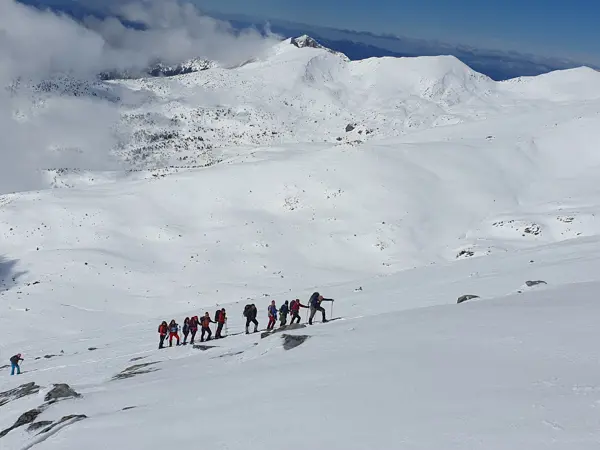 trek-winter-spano-pole