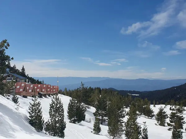 trek-winter-spano-pole