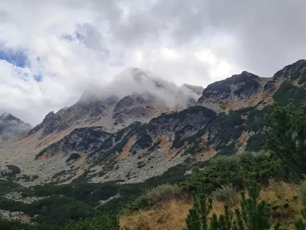 trek-yalovarnika-zabat