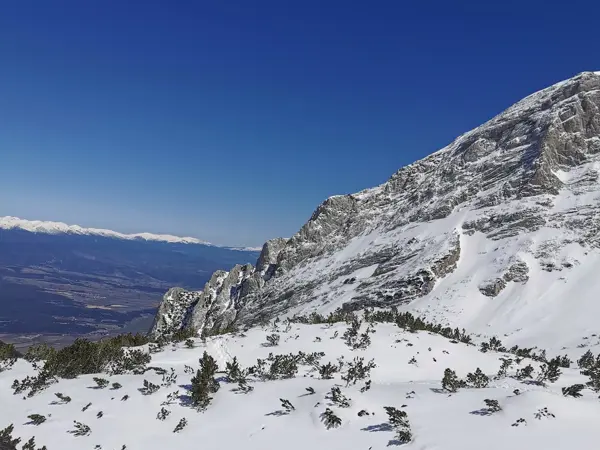 vrаh-albutin-v-pirin-